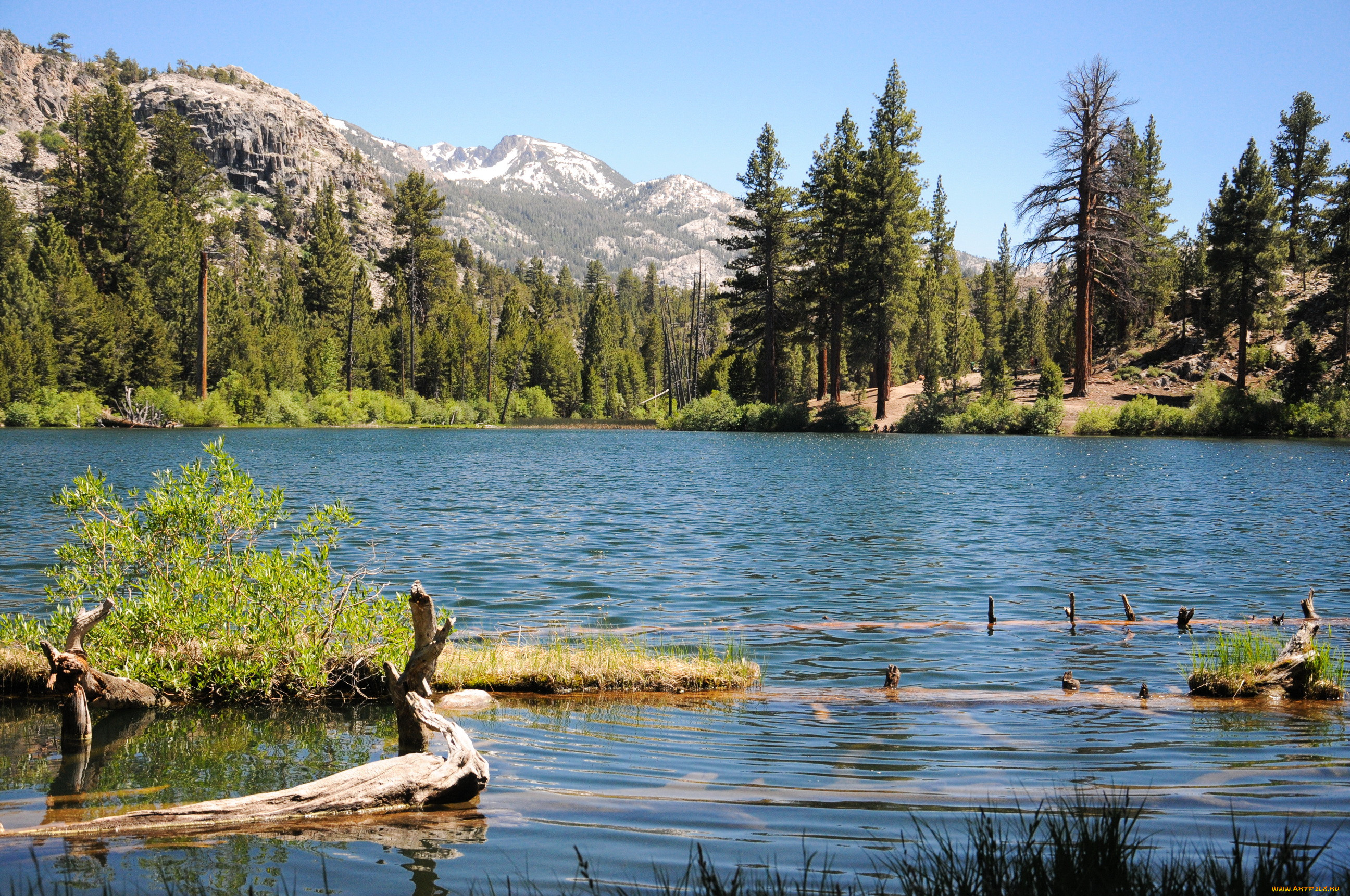 lane, lake, , , , , , , 